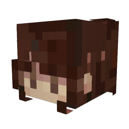 cowboydeity Minecraft avatar head, 3D render
