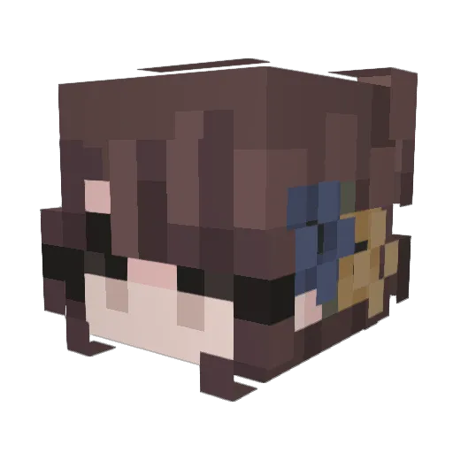 cowboyhatbis Minecraft avatar head, 3D render