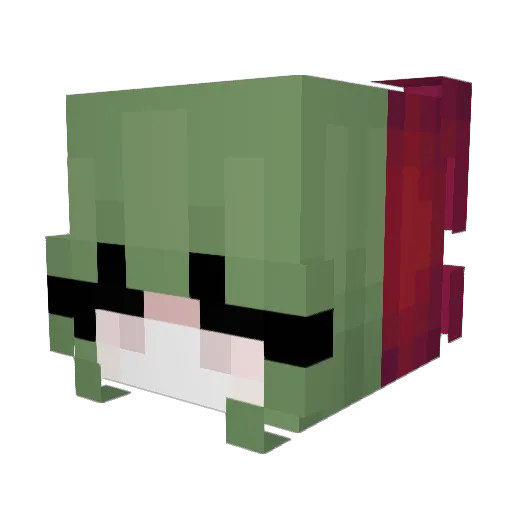 cowboylover69 Minecraft avatar head, 3D render
