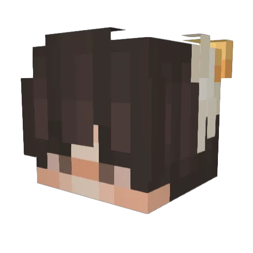 cowboymanboy Minecraft avatar head, 3D render