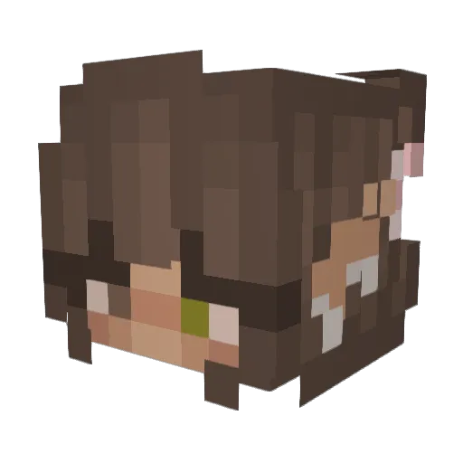 cowboyoxy Minecraft avatar head, 3D render