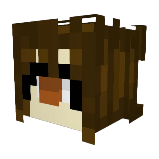 cowboyskye Minecraft avatar head, 3D render