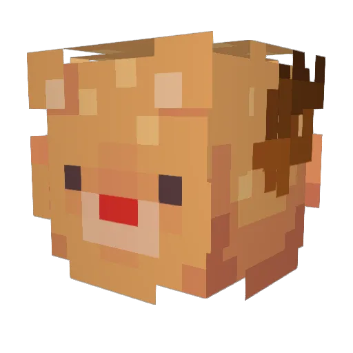 cowboytsunami Minecraft avatar head, 3D render