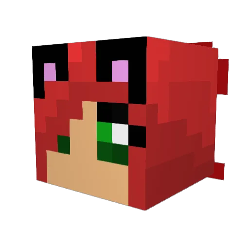 cowsgomeow345 Minecraft avatar head, 3D render