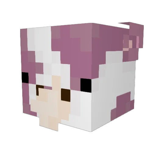 cowsgomoo4761 Minecraft avatar head, 3D render