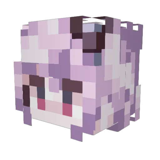 coxmicjuniper Minecraft avatar head, 3D render