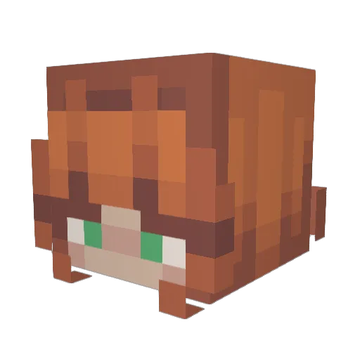 coyhermitcrab Minecraft avatar head, 3D render