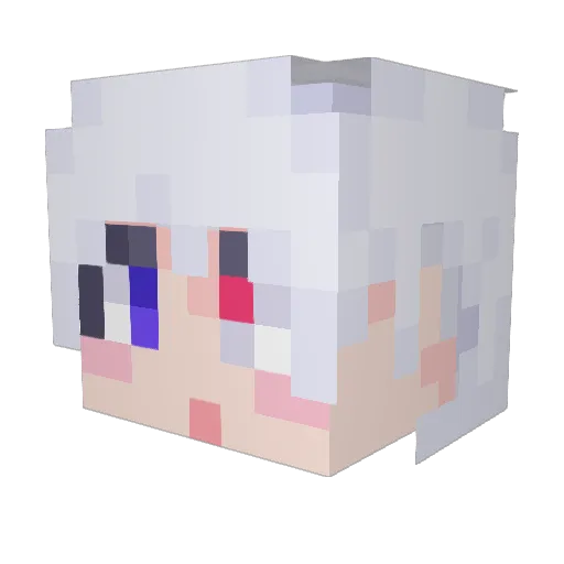 coyo43 Minecraft avatar head, 3D render