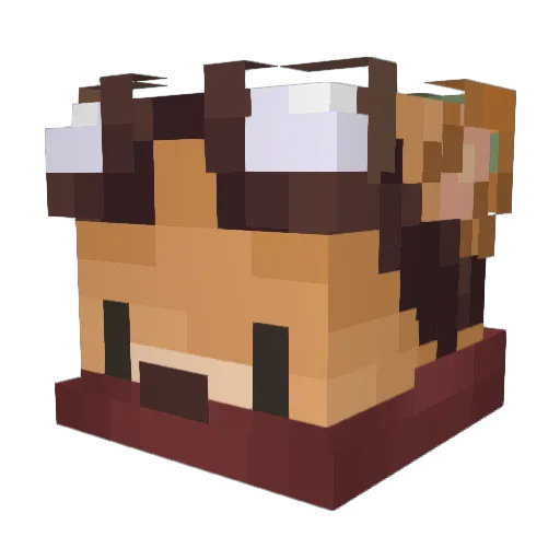 coyotetheory_ Minecraft avatar head, 3D render