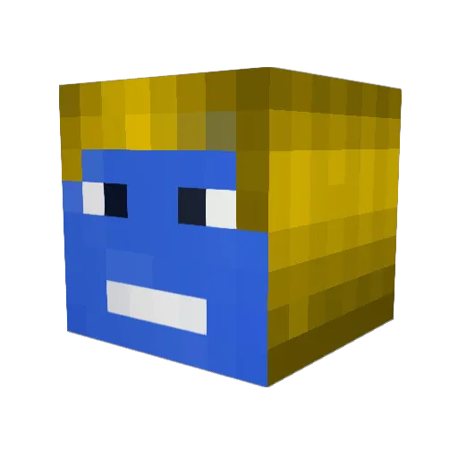 coyotiiii Minecraft avatar head, 3D render