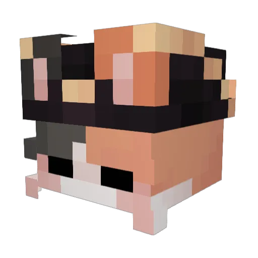 cozyMortal Minecraft avatar head, 3D render