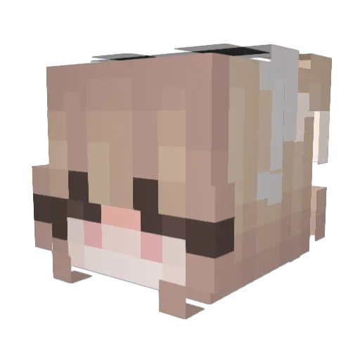 cozy_3 Minecraft avatar head, 3D render