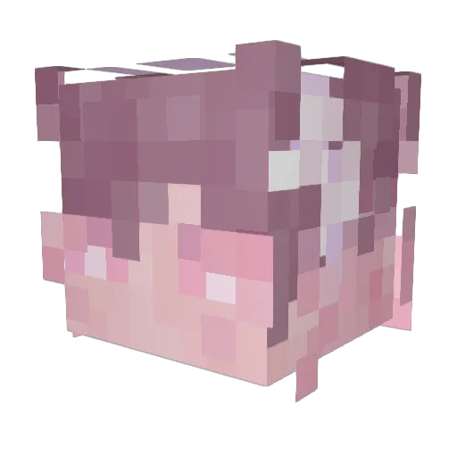 cozy_tictacs Minecraft avatar head, 3D render
