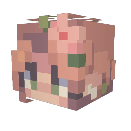 cozyfaeryn Minecraft avatar head, 3D render