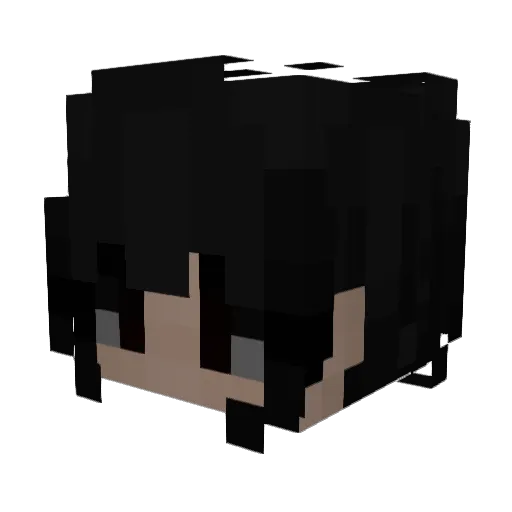 cozyhunter2010 Minecraft avatar head, 3D render