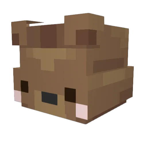 cozyjasmin Minecraft avatar head, 3D render