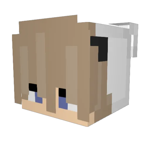 cozywithursister Minecraft avatar head, 3D render