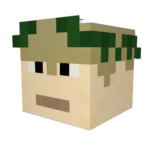 cpsr Minecraft avatar head, 3D render