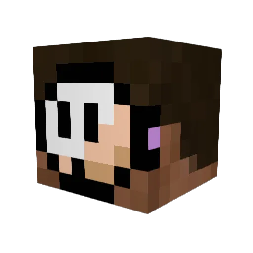 cptCarpet Minecraft avatar head, 3D render
