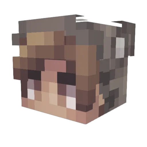 cpt_apathy Minecraft avatar head, 3D render