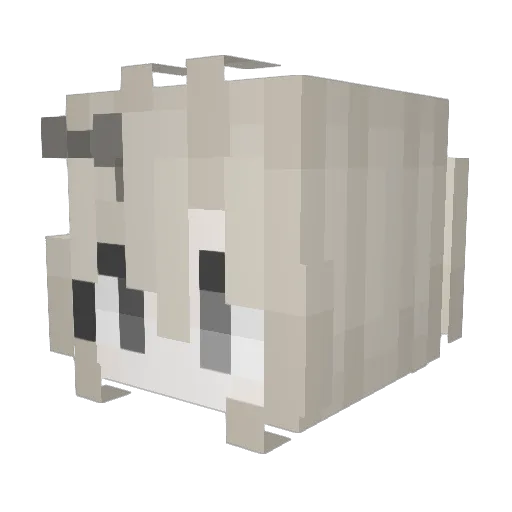 cqrn Minecraft avatar head, 3D render