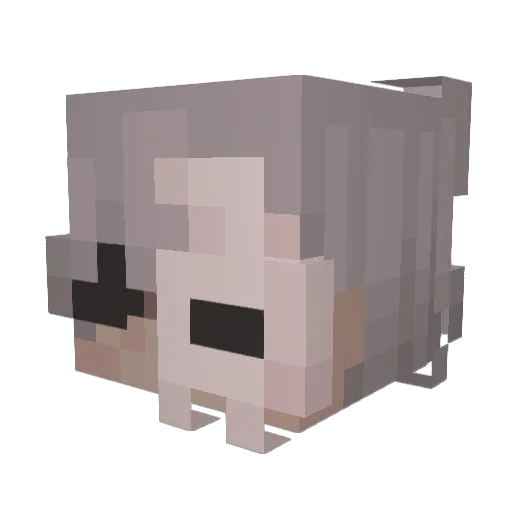 cqzy_ Minecraft avatar head, 3D render