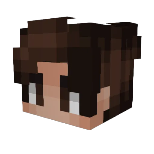 cr_sssq Minecraft avatar head, 3D render
