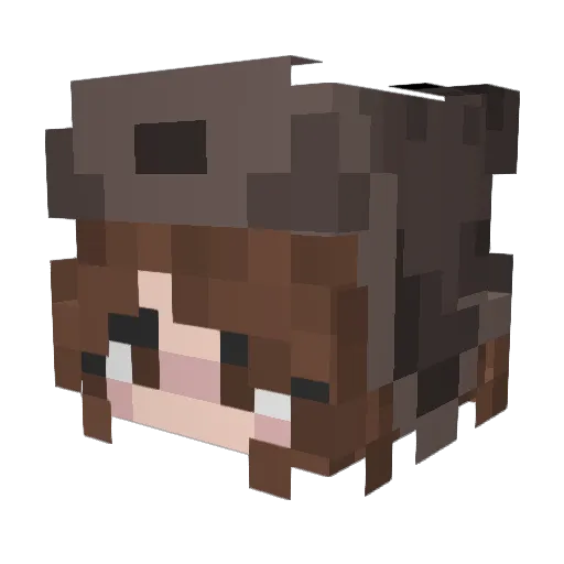 crabbtime Minecraft avatar head, 3D render