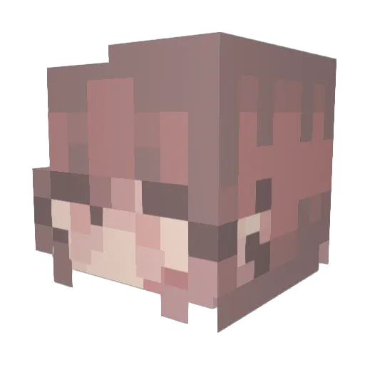 crackedlights00 Minecraft avatar head, 3D render