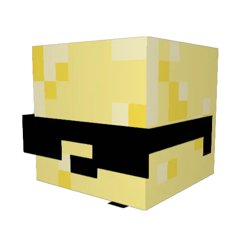 craft4rooon Minecraft avatar head, 3D render