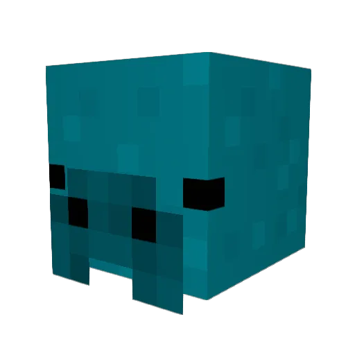 craft_bros Minecraft avatar head, 3D render