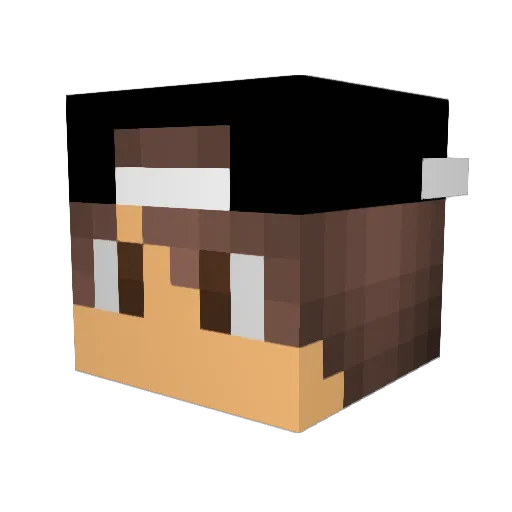craft_forcer10 Minecraft avatar head, 3D render