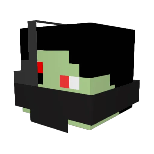 craftboy0504 Minecraft avatar head, 3D render