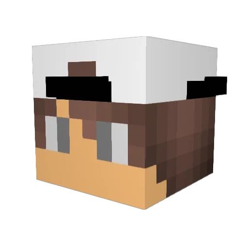 craftboy2002 Minecraft avatar head, 3D render