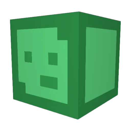 craftcrafters Minecraft avatar head, 3D render