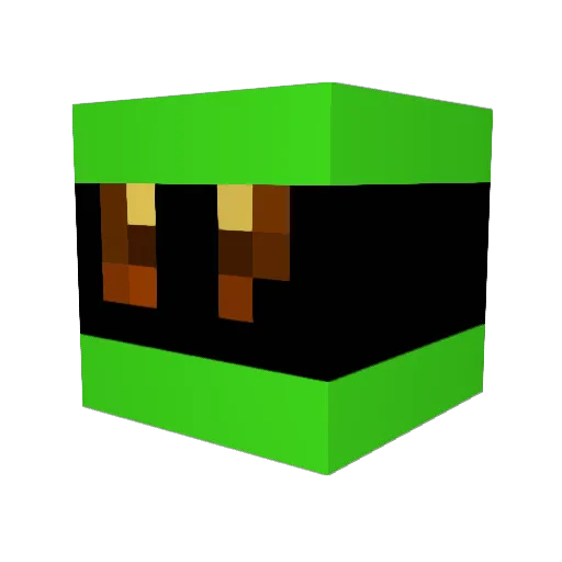 crafter2803 Minecraft avatar head, 3D render