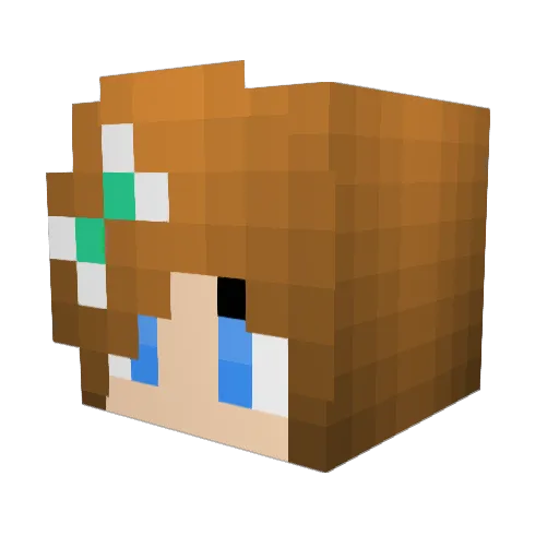 crafter4353 Minecraft avatar head, 3D render