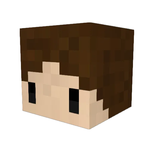 crafter69130 Minecraft avatar head, 3D render