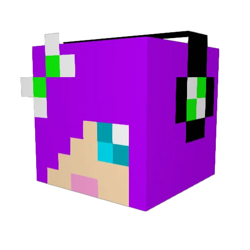 crafter99er Minecraft avatar head, 3D render