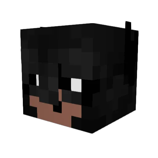 crafterX003 Minecraft avatar head, 3D render
