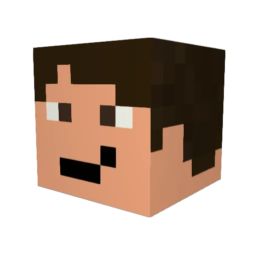 craftertendo Minecraft avatar head, 3D render