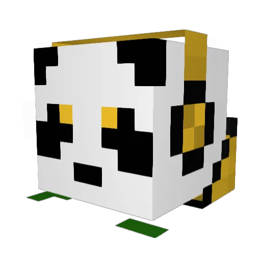 craftfan10 Minecraft avatar head, 3D render
