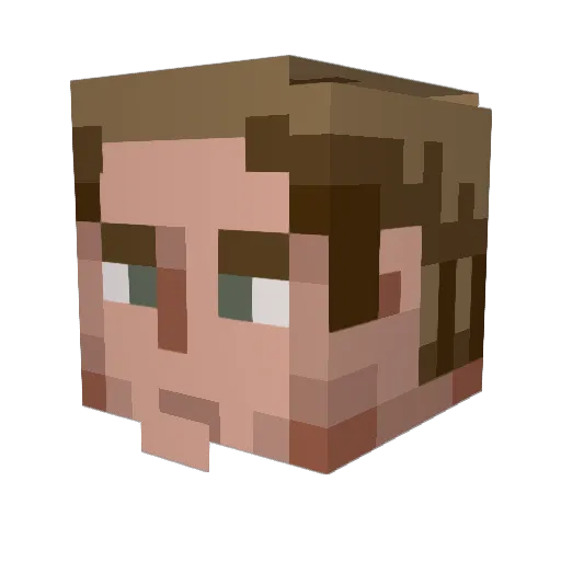 crafthero117 Minecraft avatar head, 3D render