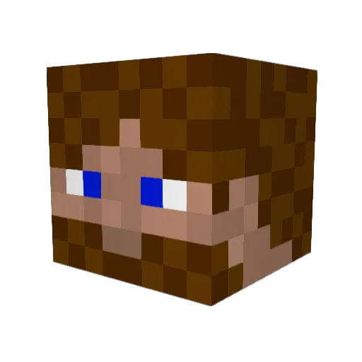 craftmage Minecraft avatar head, 3D render