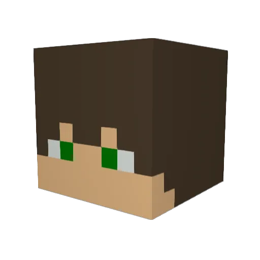 craftman3210 Minecraft avatar head, 3D render