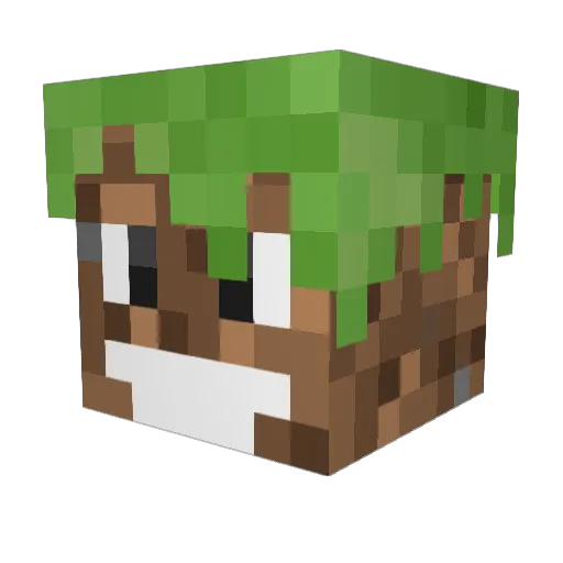 craftslayer119 Minecraft avatar head, 3D render