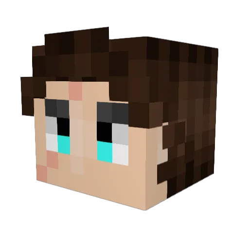 craftydino2003 Minecraft avatar head, 3D render