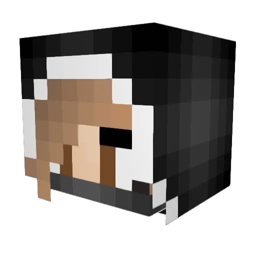 craftymine2002 Minecraft avatar head, 3D render