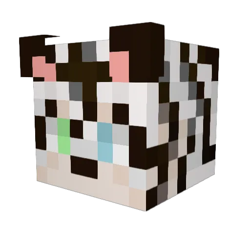 craho28 Minecraft avatar head, 3D render