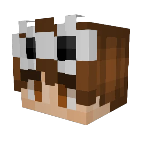 craigcakes16 Minecraft avatar head, 3D render